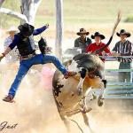 Rodeo