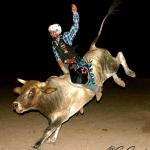 bullrider2
