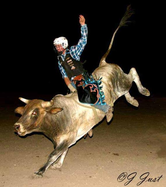 bullrider2