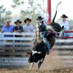 bullrider-1