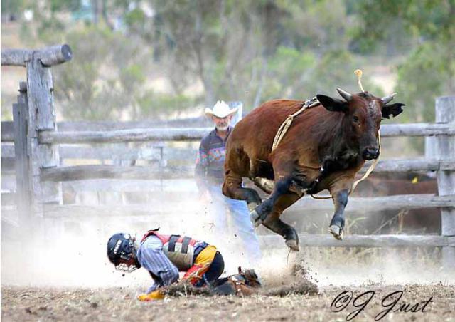 High-jump-copy