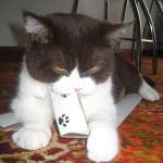 Must destroy!