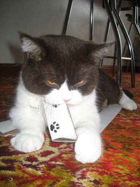 Must destroy!