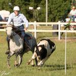 Mark_Elliot_8579