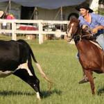 Scott_Marshall8478