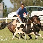 Scott_Marshall_8573