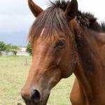 bay-face_0415